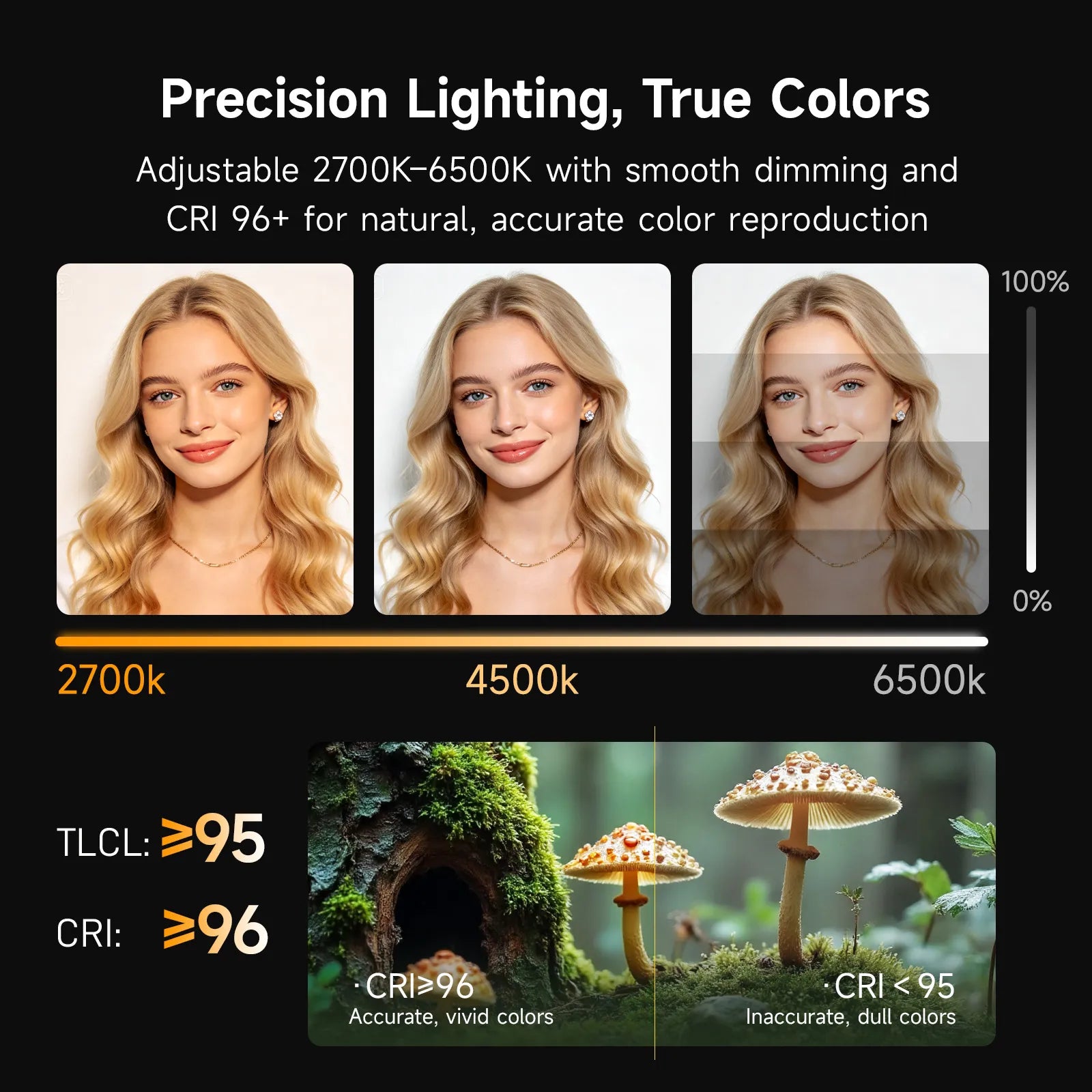 Photoolex ⭐ 15th Anniversary Full-Metal Edition ⭐ — Quantum Q150 150W COB Light - Photoolex